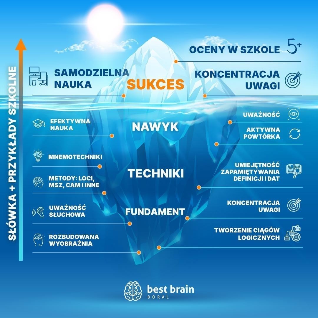 Umiejętności rozwijane w programie Best Brain
